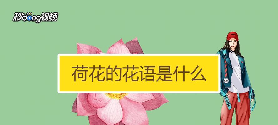 荷花的花语有哪些含义？