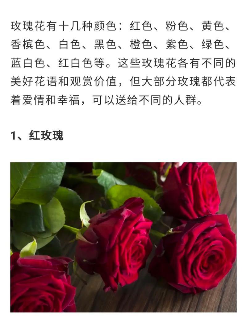 52朵玫瑰花送给朋友的含义是什么？