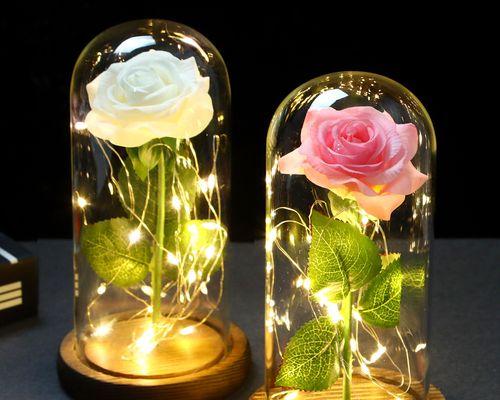 赠送谢菲尔德的玫瑰花代表什么？谢菲尔德玫瑰花有何特殊含义？