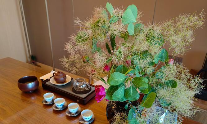不同颜色芍药的花语有何不同？原因是什么？