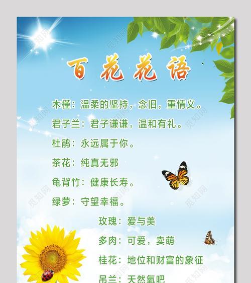 青梅花束的寓意与花语有何特别之处？