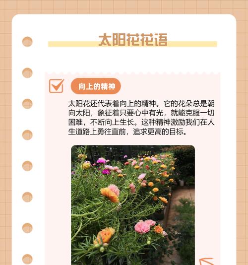 哪种花的花语象征着年轻和活力？
