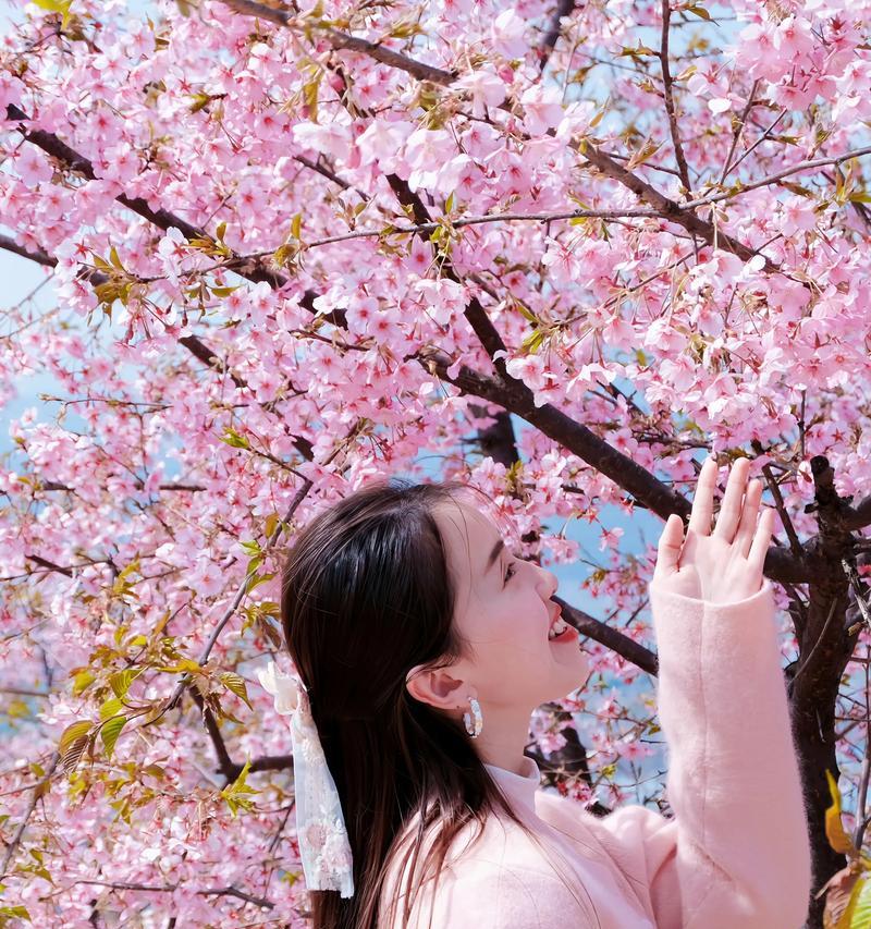 花森花语有何特别寓意？花森花语的含义是什么？
