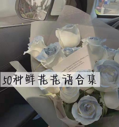 如何了解各种鲜花的花语？