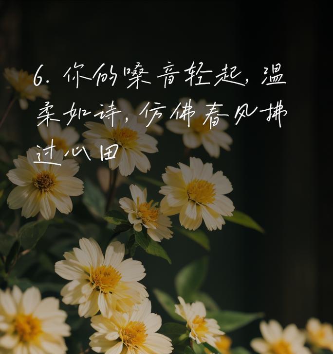 温柔的配乐花代表了怎样的情感？
