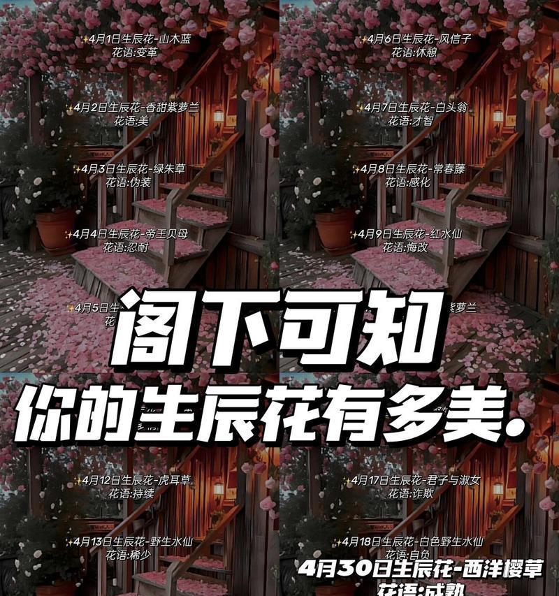 哪种花的花语暗示着重逢？重逢的花语有哪些？