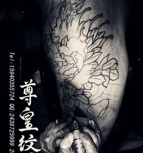 牡丹花半甲的寓意是什么？象征着什么？