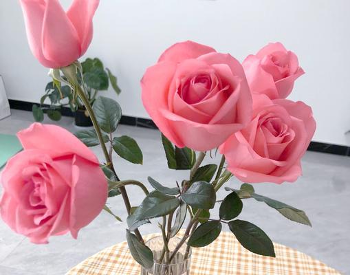 10朵玫瑰花的花语和象征意义是什么？