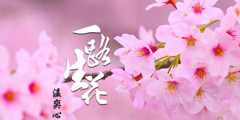 平静而坚定的花语代表什么含义？