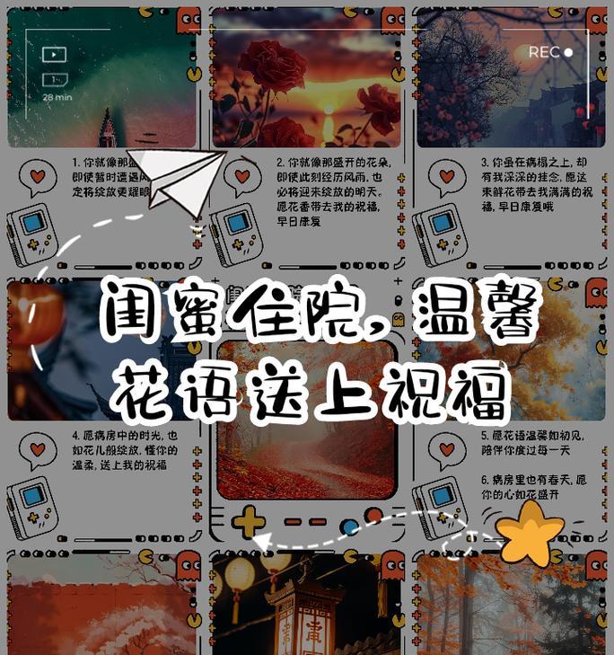 闺蜜间送花的花语是什么？哪种花最能表达友情？
