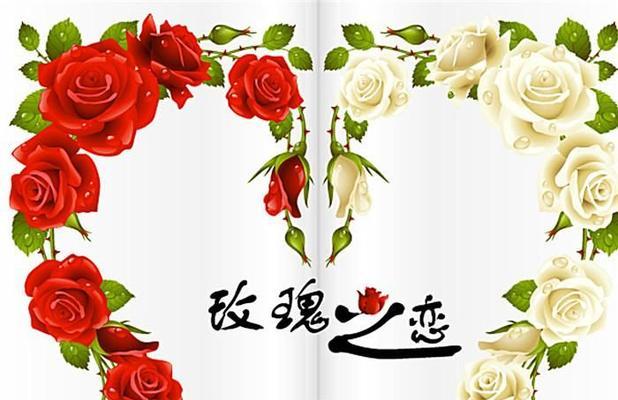 鞋内有朵玫瑰花的寓意是什么？这种设计有何特殊含义？
