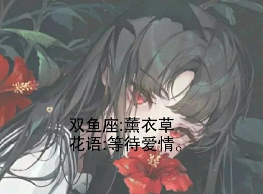 每个星座对应的本命玫瑰花语？