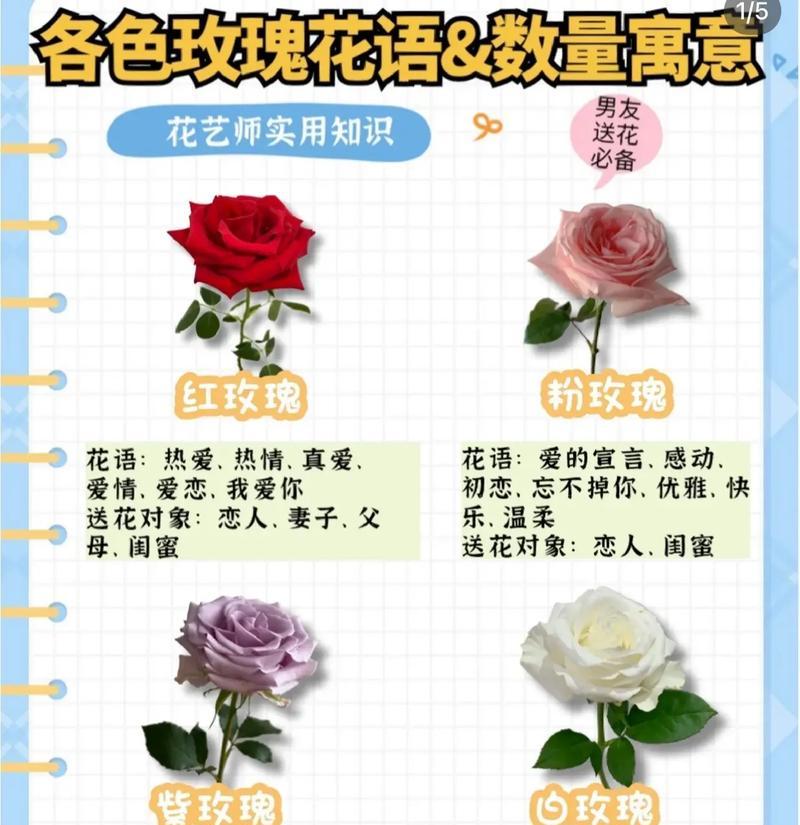 每个星座对应的本命玫瑰花语？