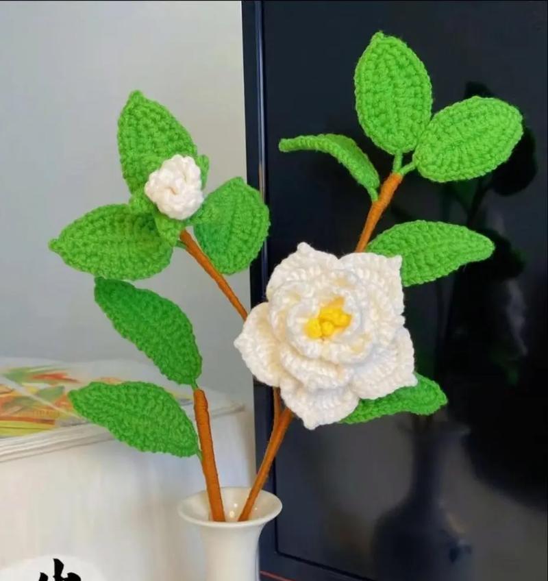 美丽又自由的白色花语是什么？白色花代表了哪些美好寓意？