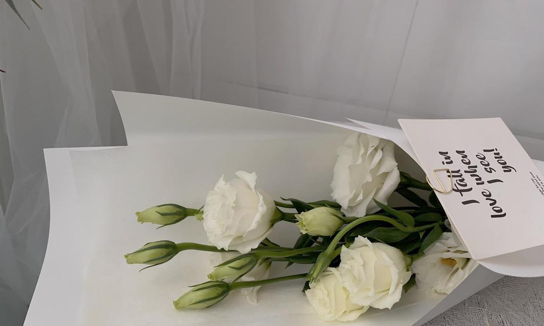 美丽又自由的白色花语是什么？白色花代表了哪些美好寓意？