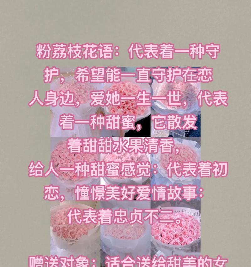 粉荔枝玫瑰的花语有何特别之处？