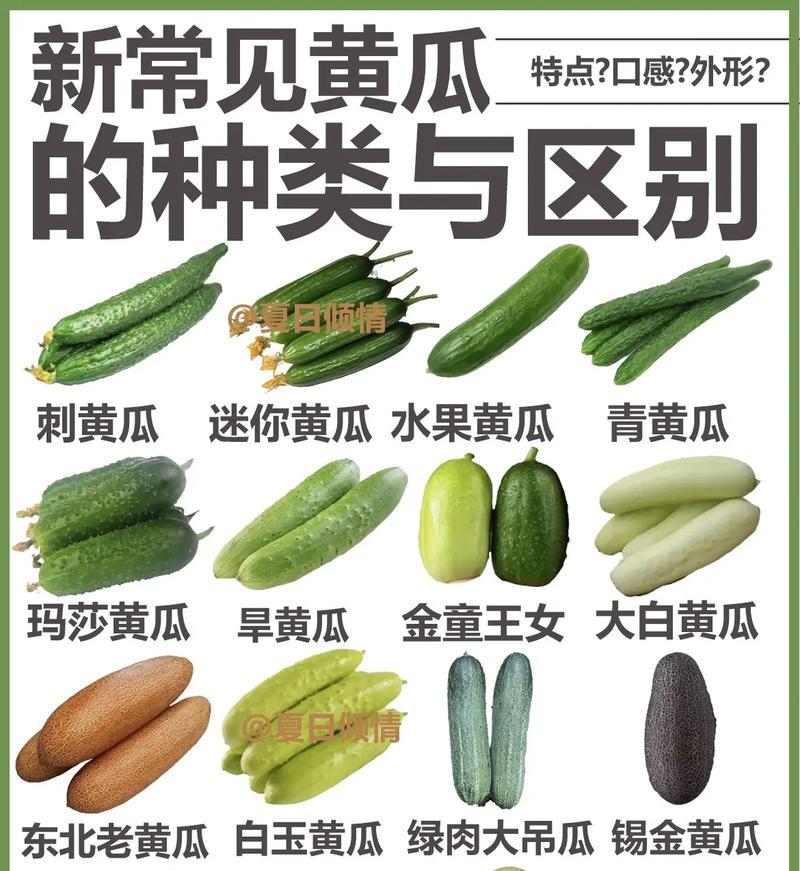 黄瓜的花语寓意是什么？黄瓜象征着什么？