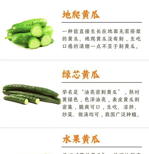 黄瓜的花语寓意是什么？黄瓜象征着什么？
