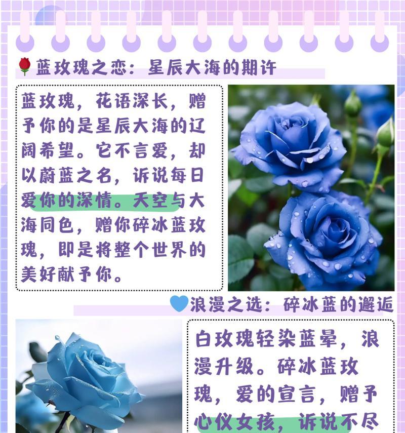 哪些花的花语是负面的？花语不好的花有哪些？