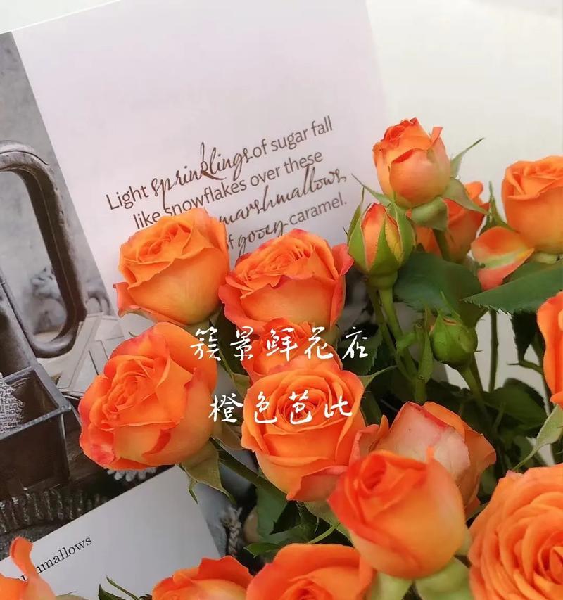 橙色铃兰的花语寓意着什么？