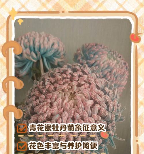 花语弄和青花瓷的区别是什么？两者在文化含义上有何不同？