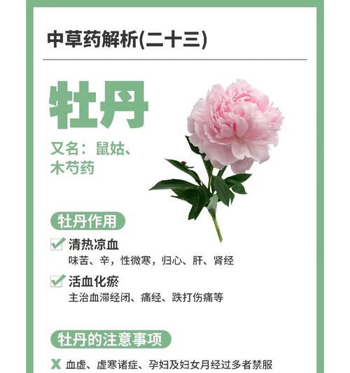 假花红牡丹花语有何特殊意义？