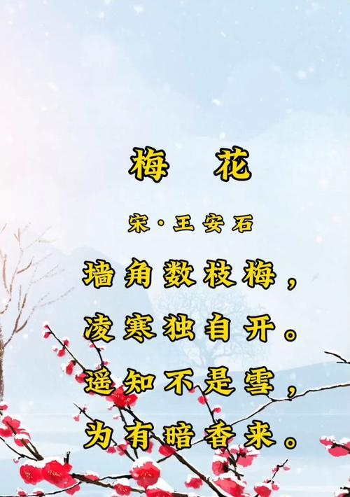 梅花的花语代表了什么含义？