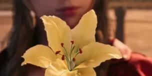 螺丝球花语有何特别之处？它代表了什么？
