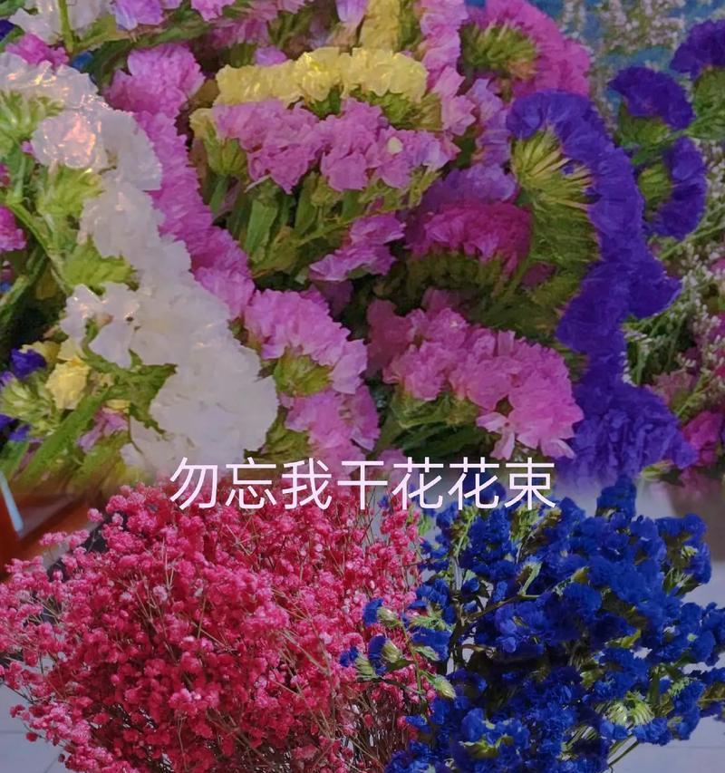 等待真诚勿忘我的花语是什么意思？勿忘我花束的寓意是什么？