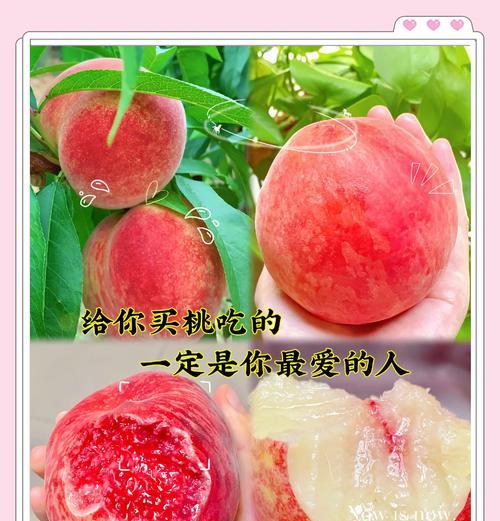 桃子花的特殊含义和花语是什么？