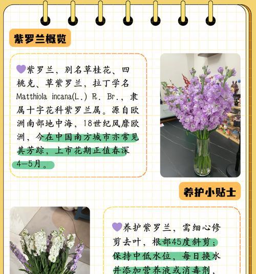 桃子花的特殊含义和花语是什么？