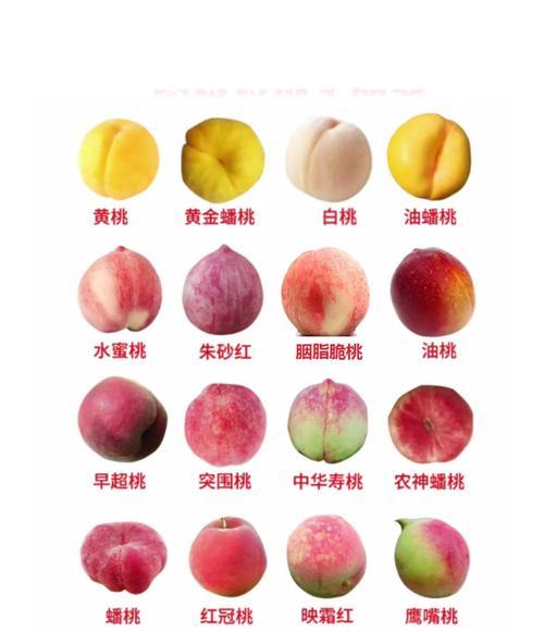 桃子花的特殊含义和花语是什么？