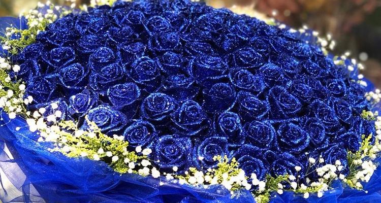 蓝色阴影的花语是什么？蓝色阴影在花语中象征什么？