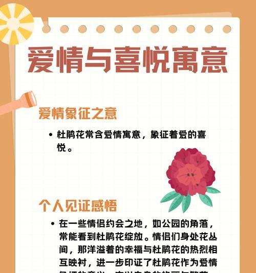 哪种花的花语是“等你”？它象征着怎样的情感？