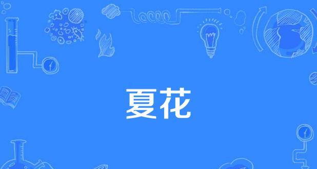 齐夏的花语是什么？齐夏季节对应的花语有何特别？