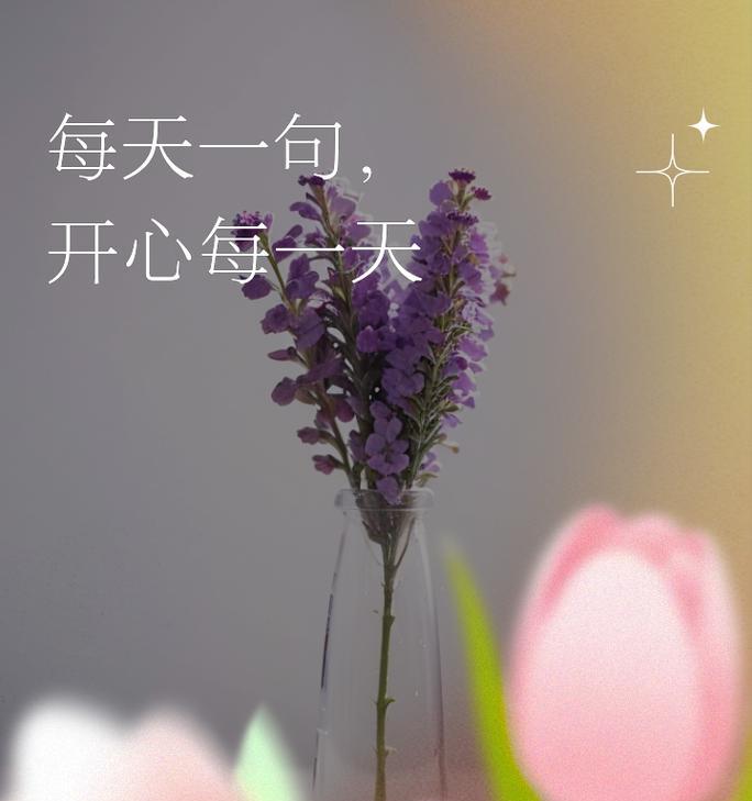 哪种花象征着新的开始？
