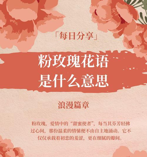 粉丝玫瑰的寓意和花语有何特别之处？
