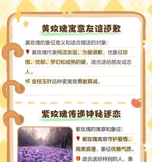 粉丝玫瑰的寓意和花语有何特别之处？