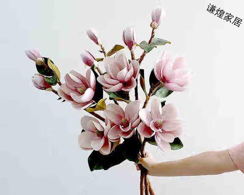 玉兰花花束通常用来表达什么？