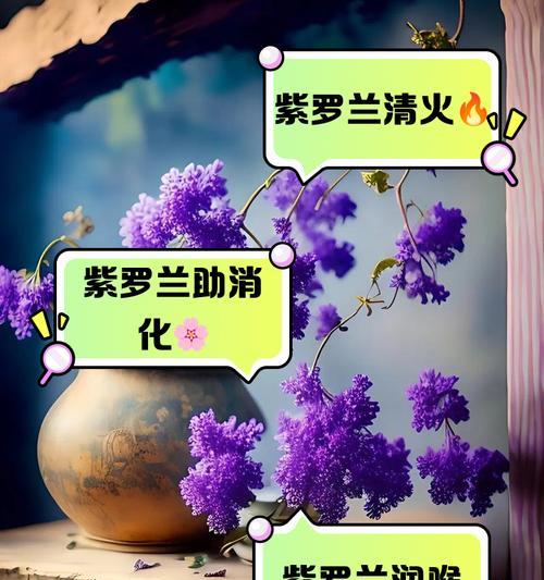 紫罗兰花期在哪个季节？如何延长花期？