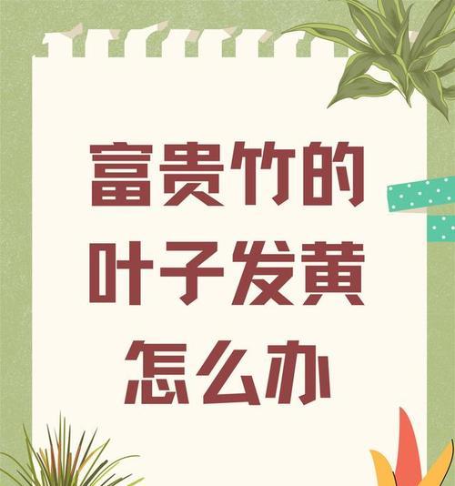 富贵竹分株的最佳时机是什么时候？