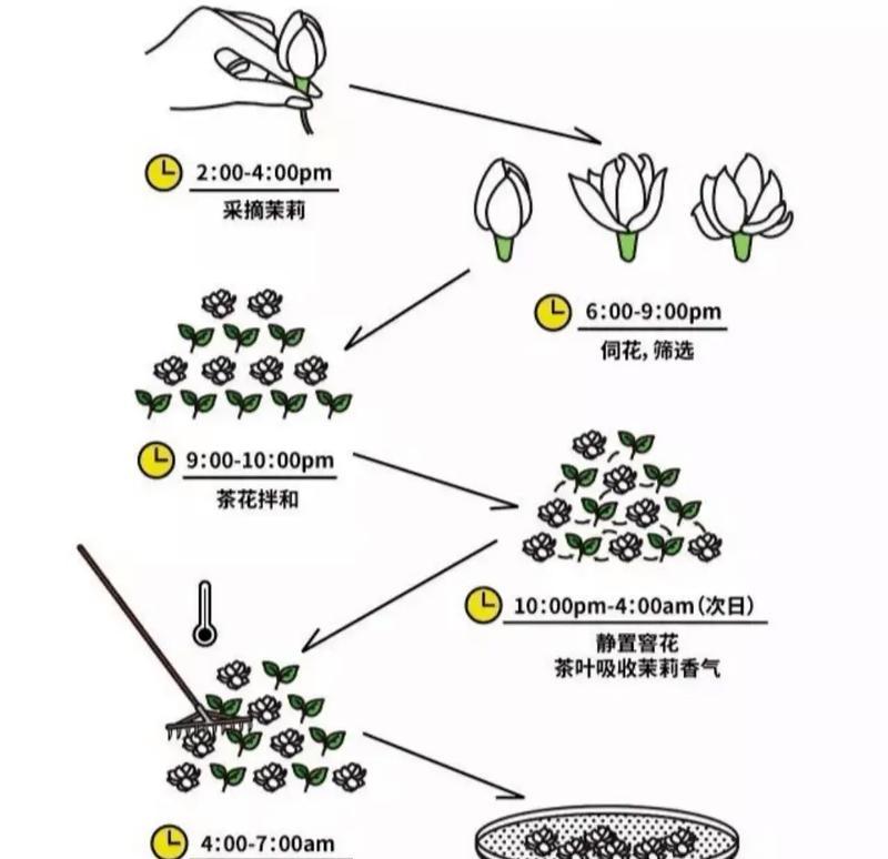 茉莉什么时候剪枝最佳？剪枝后如何促进新芽生长？