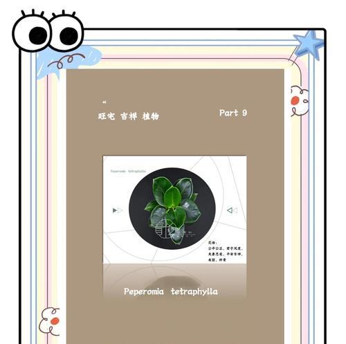 豆瓣绿的养殖技巧和注意事项是什么？