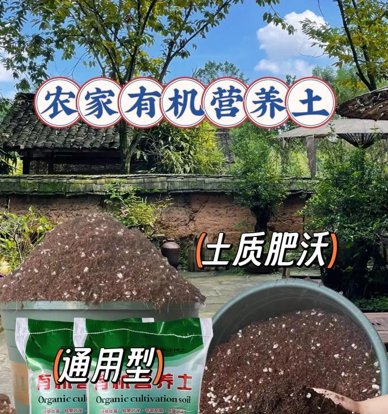 无土栽培常用的基质有哪些？选择无土栽培基质的标准是什么？