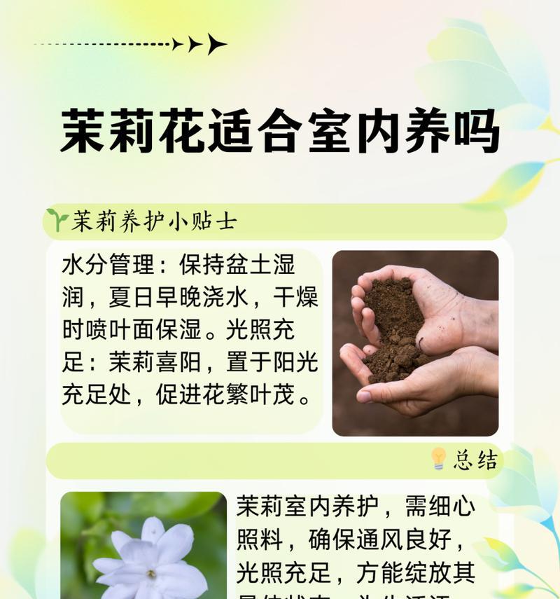 茉莉花的养殖技巧有哪些？如何让茉莉花花开不断？