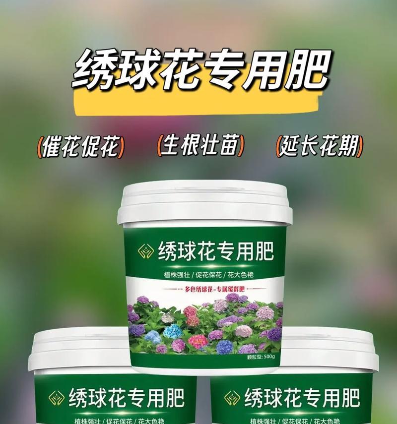 养花时应该使用哪种肥料？如何选择合适的肥料？