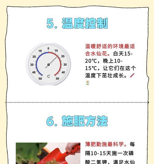 养花的水里放什么保鲜？如何延长花卉的新鲜度？