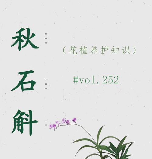 石斛的养殖技巧有哪些？石斛养殖中常见问题如何解决？