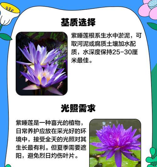 水莲的养殖方法有哪些？如何确保其健康生长？