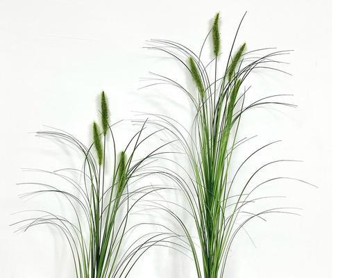 插花时使用配草有哪些好处？配草对插花效果的影响是什么？